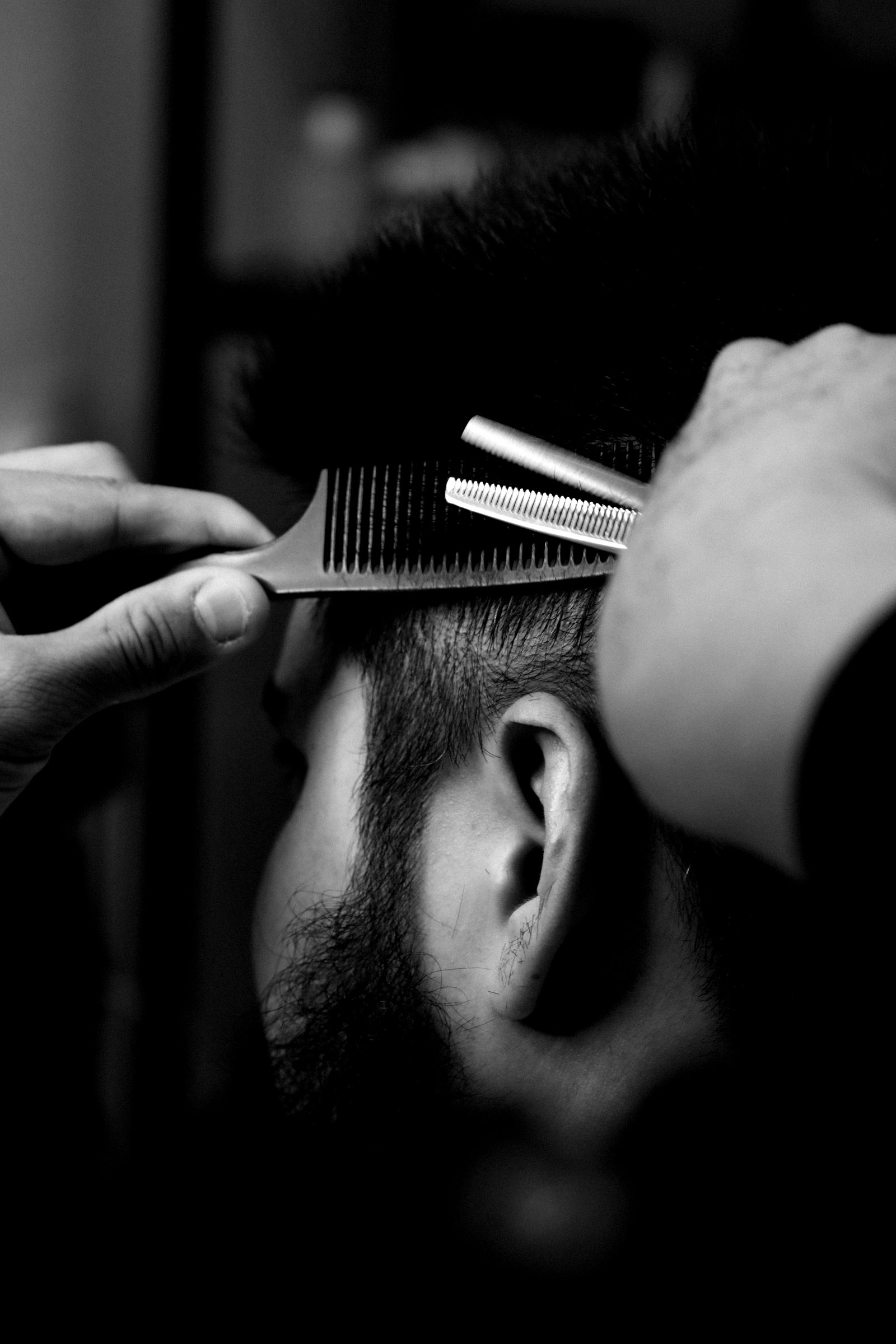 Un barbier travaille la masse d'une chevelure avec des ciseaux sculpteurs et un peigne